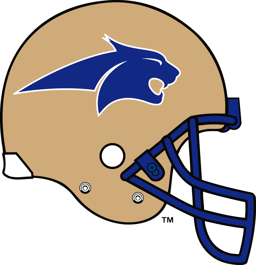 Montana State Bobcats 1997-1999 Helmet Logo diy DTF decal sticker